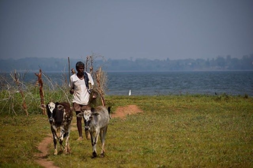 Kabini Backwater Viewpoint-4